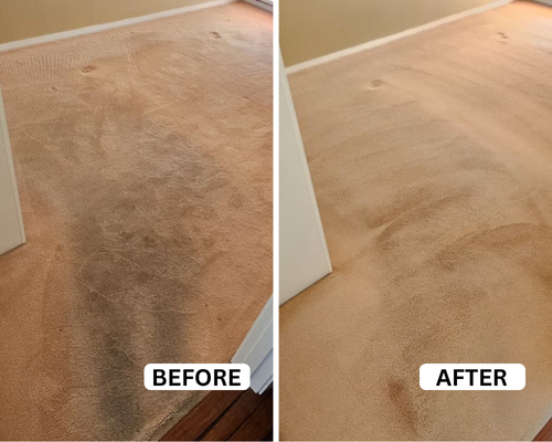 Photo inspiration: Fresh Look at Carpet Dry Cleaning Perth Carpet Dry Cleaner Near Me