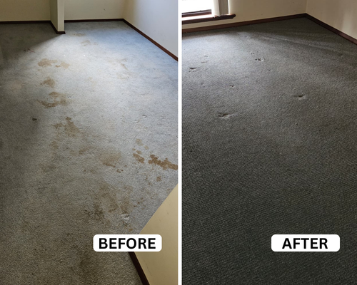 Stained carpet before and after professional cleaning