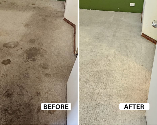 Carpet stain before and after cleaning treatment